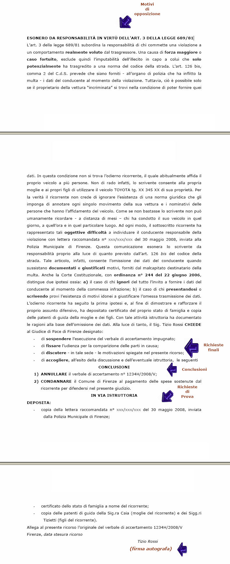esempio-ricorso-41 esempio-ricorso-41