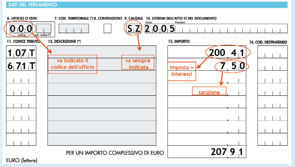 compilazione-f231